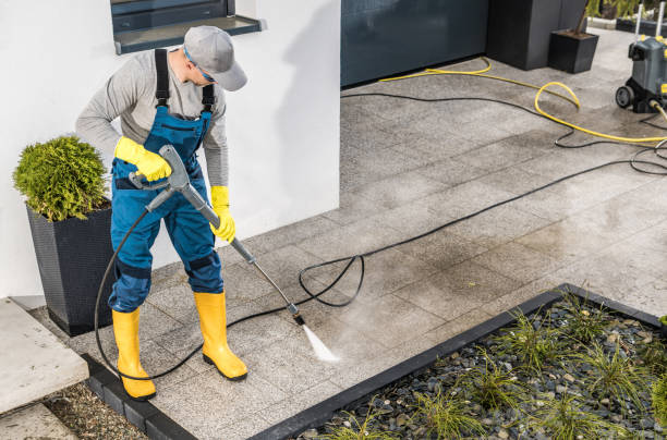 Best Local Pressure Washing Services  in Mount Rainier, MD