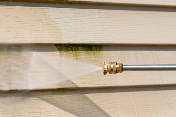 Best Residential Pressure Washing Services  in Mount Rainier, MD